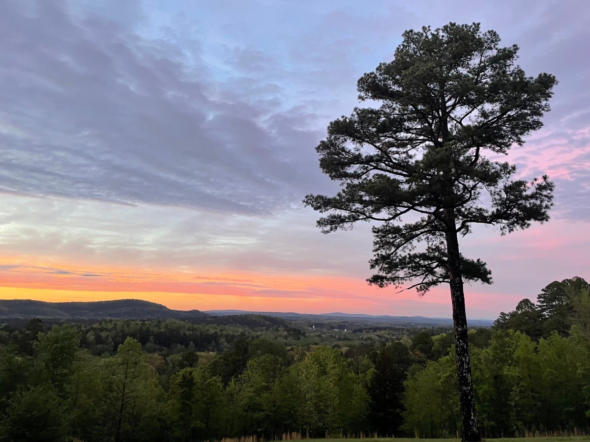 Fighting for the&nbsp;Moment